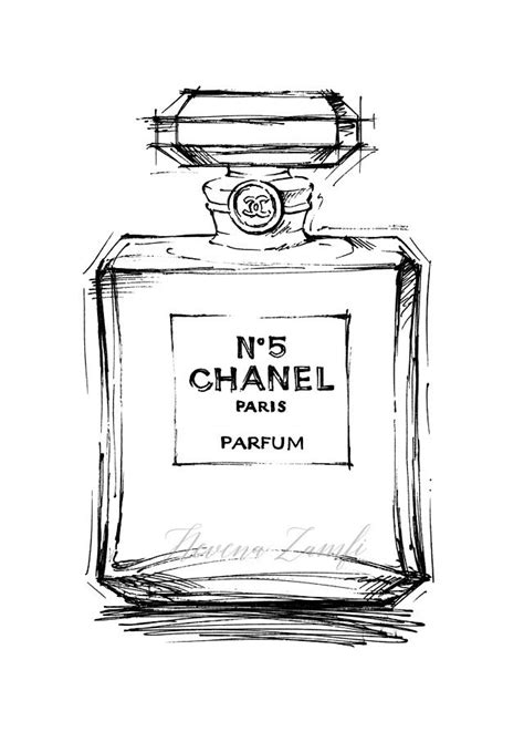 chanel perfume bottle drawing|chanel no 5 sketch.